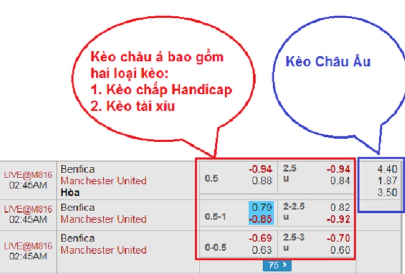 keo chau au - Kèo châu Âu là gì? Hướng dẫn cách soi kèo châu Âu hiệu quả từ chuyên gia