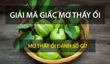 Nằm mơ thấy quả ổi