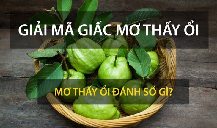 Nằm mơ thấy quả ổi