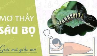 Nằm mơ thấy sâu bọ