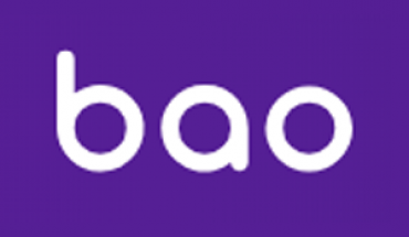 BaoCasino Logo